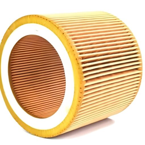 Lọc gió Mann Air Filter