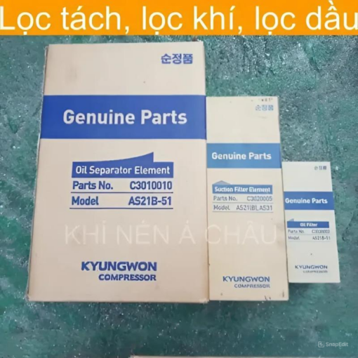 Lọc khí C3020005