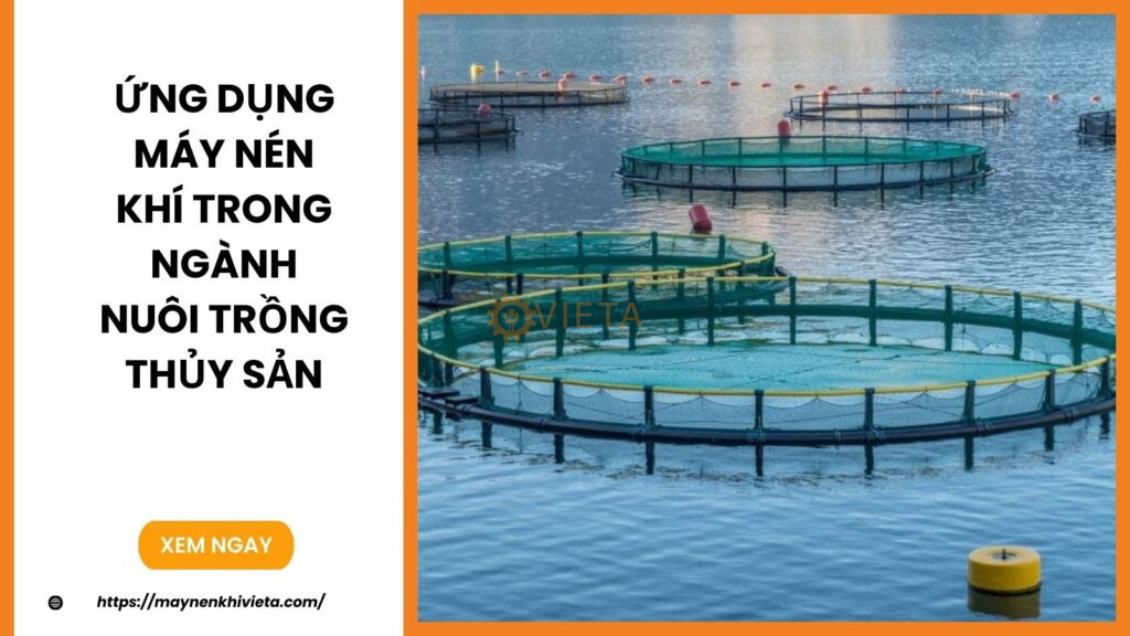 Ứng Dụng Máy Nén Khí Trong Ngành Nuôi Trồng Thủy Sản