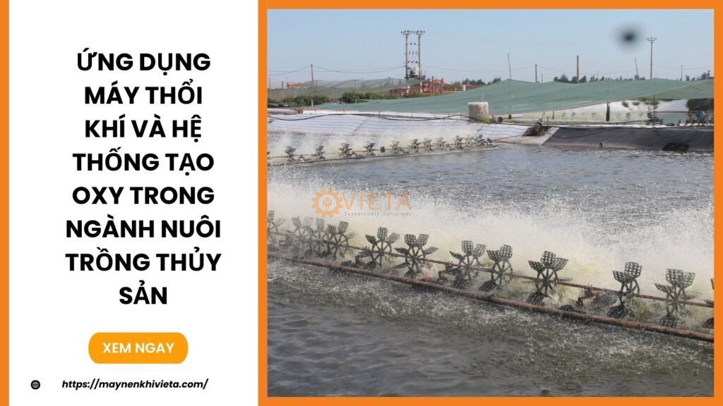 Ứng Dụng Máy Thổi Khí và Hệ Thống Tạo Oxy Trong Ngành Nuôi Trồng Thủy Sản