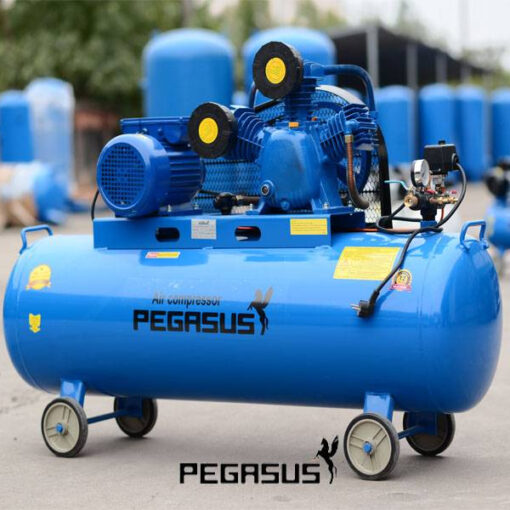 Máy nén khí dây đai Pegasus TM-W-1.6/8-330L