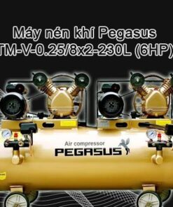 Máy nén khí Pegasus TM-V-0.25/8x2-230L 3 HPx2