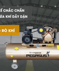 Máy nén khí dây đai Pegasus TM-V-0.25/12.5-100L