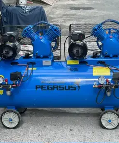 Máy nén khí Pegasus TM-V-0.25/8x2-230L 6HP