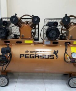 Máy nén khí Pegasus TM-V-0.25/8x2-230L 6HP