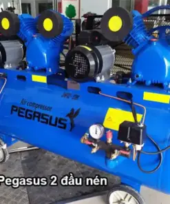 Máy nén khí Pegasus TM-V-0.25/8x2-230L 6HP