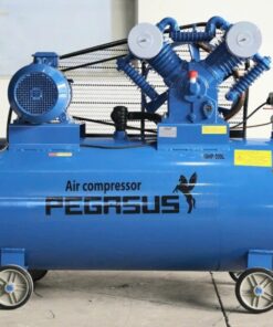 Máy nén khí Pegasus TM-V-1.05/12.5-500L 10hp