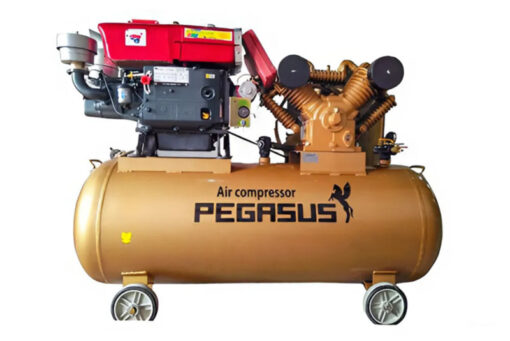 Máy nén khí đầu nổ Pegasus TM-W-2.0/8-330L