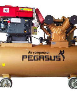 Máy nén khí đầu nổ Pegasus TM-V-1.05/12.5-330L