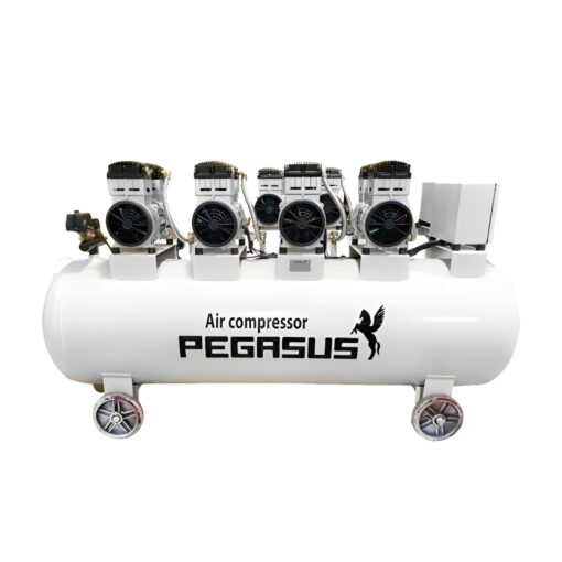 Máy nén khí không dầu Pegasus TM-OF1100x4-300L