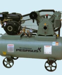 Máy nén khí đầu nổ chạy xăng Pegasus TM-V-0.25/8-100L