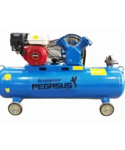 Máy nén khí đầu nổ chạy xăng Pegasus TM-V-0.25/8-100L
