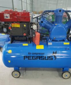 Máy nén khí đầu nổ Pegasus TM-W-1.0/8-500L
