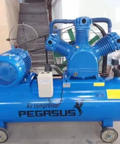 Máy Nén Khí Đầu Nổ Pegasus TM-W-2.0/8-330L