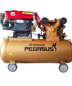 Máy Nén Khí Dây Đai Pegasus TM-V-1.05/12.5-330L