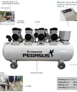 Máy nén khí không dầu Pegasus TM-OF1100x4-500L