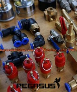 phụ tùng máy nén khí pegasus