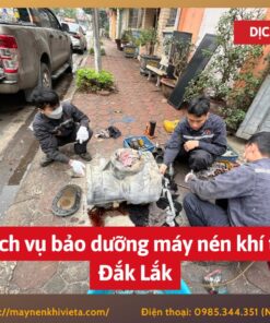 Dịch vụ bảo dưỡng máy nén khí tại Đắk Lắk